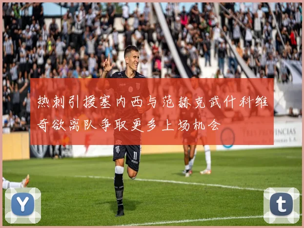 热刺引援塞内西与范赫克武什科维奇欲离队争取更多上场机会
